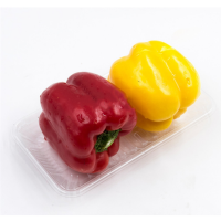 Hard Storage Fruit Packaging Food Packing Disposable Plastic Tray