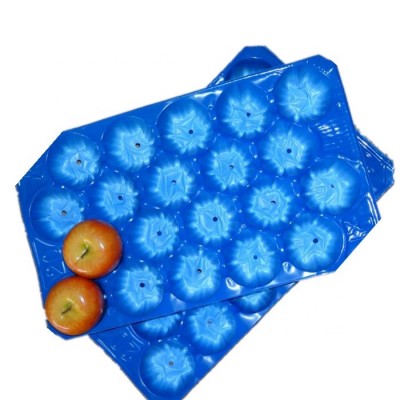 Mexico best selling Disposable Tray Liners for Plum Packaging