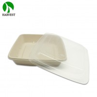 Biodegradable Bamboo Pulp Food Container Disposable Compartment Tray