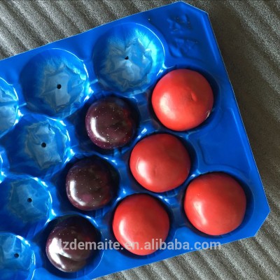 39x59cm black ALVEOLAR PP TRAY for tomato