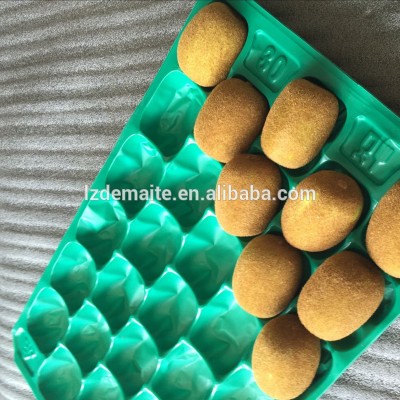 Vacuum Forming PP PET Kiwi Fruit Insert Tray used in Europe and Netherland Market in Food Grade