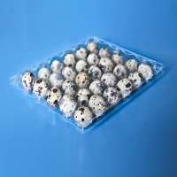 Eco Friendly Custom Quail Egg Tray Carton