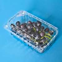 Manufacturer Blister Plastic Food Fruit Punnet, Clear Blueberry Cherry Packaging Container